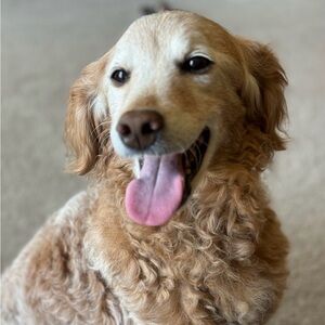 1/10/26 Live 051-100 🛍️🛍️ Thank you so much!!